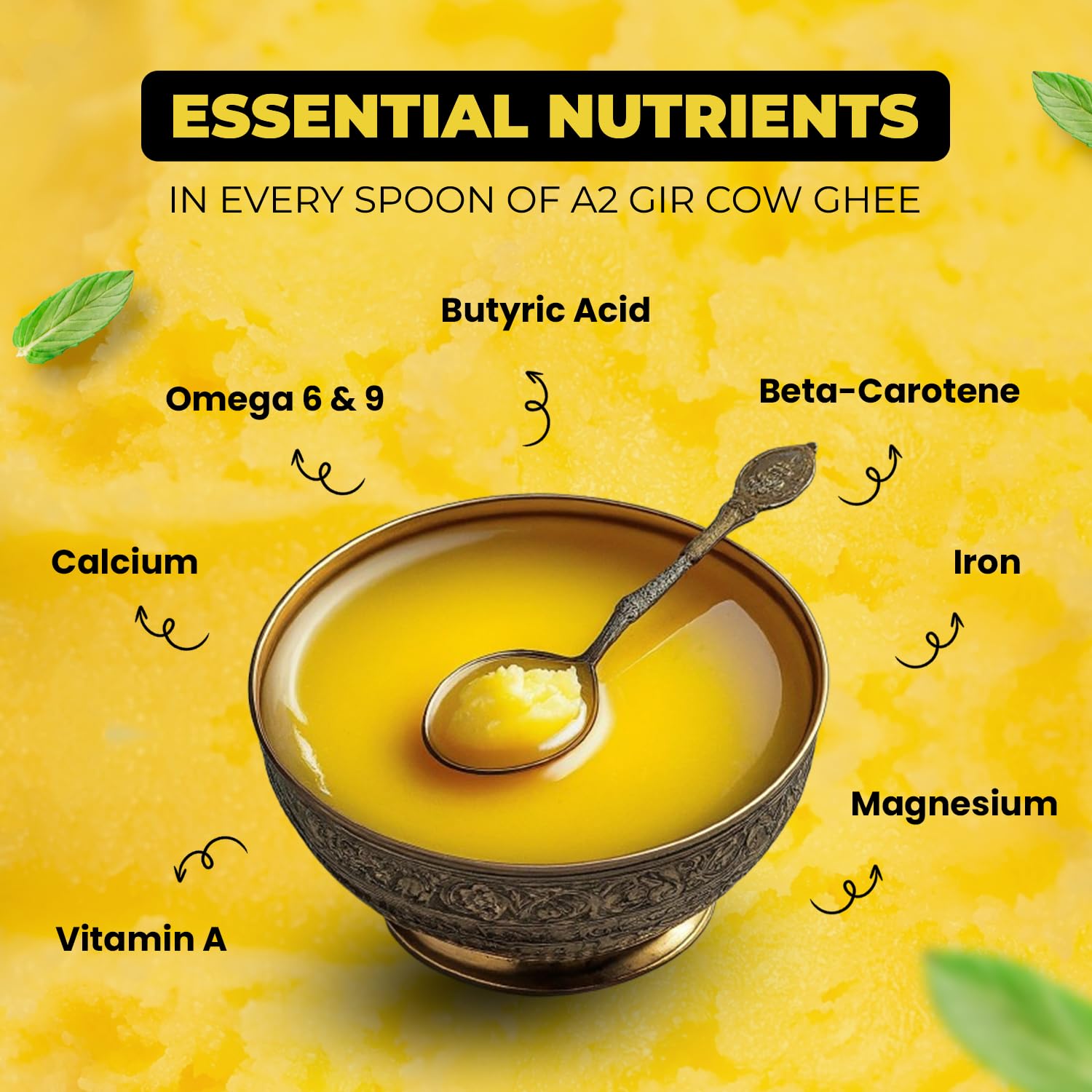 JD FRESH A2 Gir Cow Ghee 500 ml/Pure Cow Ghee/Traditional Bilona Method/Pure and Healthy Immunity Booster, Natural, Fresh Desi Cow Ghee