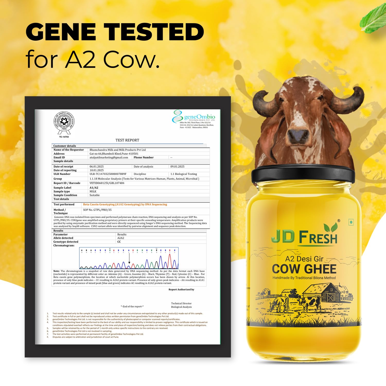 JD FRESH A2 Gir Cow Ghee 500 ml/Pure Cow Ghee/Traditional Bilona Method/Pure and Healthy Immunity Booster, Natural, Fresh Desi Cow Ghee